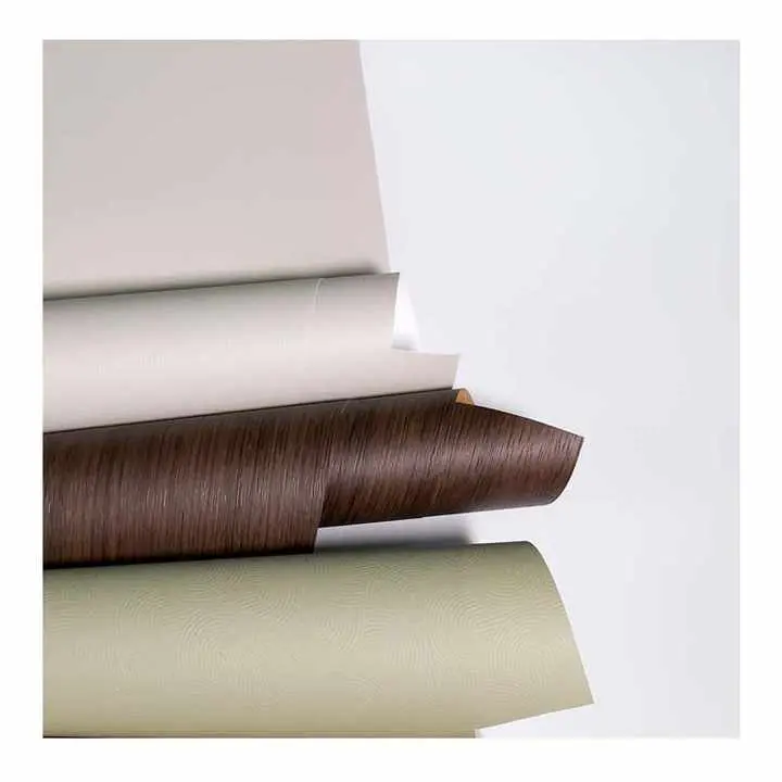 Wêrom wurdt PP-húshâldstilm in smart kar foar moderne huzen?